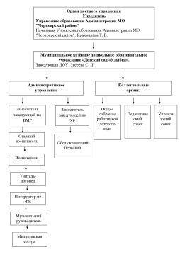 Схема структуры и органов управления ДОУ